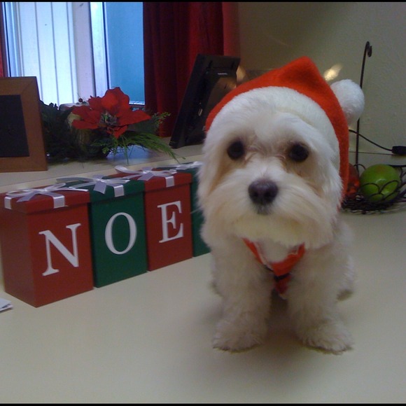 Come check out my mom's closet!!! - Picture 3 of 3