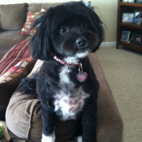 "I'm not for sale b/c my mommie spoils me!"