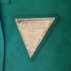 Blue/Green guess purse