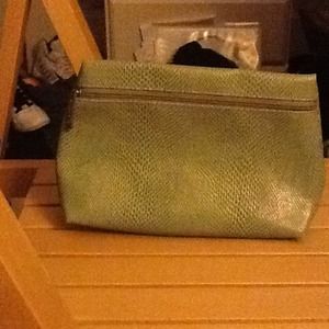 Green, fake snake skin makeup bag.