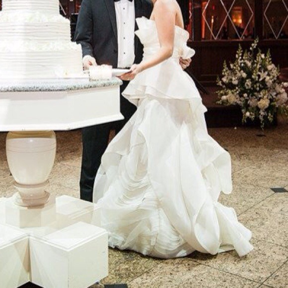 Vera Wang Fern Wedding Dress! - Picture 2 of 7