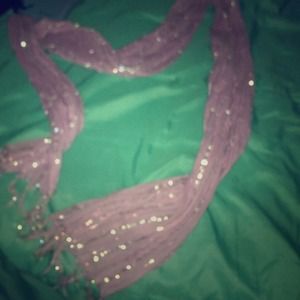 Striped purple/silver scarf.