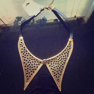 ROSE steel fake COLLAR !!!