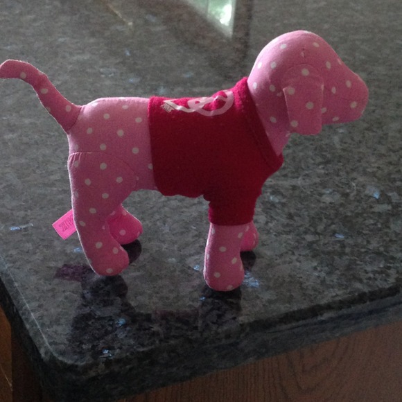 VS Dog