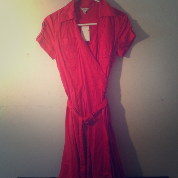 Banana republic knee length dress