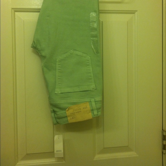 Mint Loft Skinny Jeans