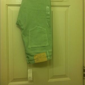 Mint Loft Skinny Jeans