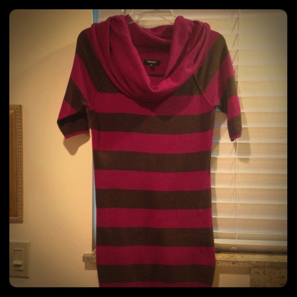 Express Sweater Dress