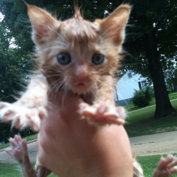 Meet Bug:)