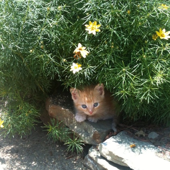 Meet Bug:) - Picture 2 of 4
