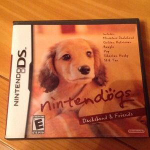 Nintendo DS Game