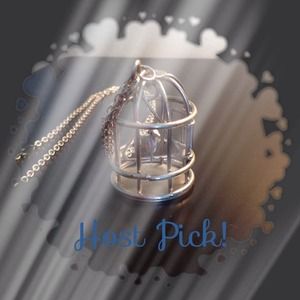 Flash sale! Bird cage long necklace