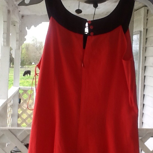 Dress - Picture 4 of 4