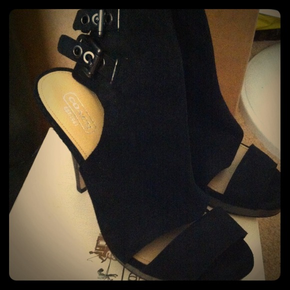 Coach , analeigh suede, black, size 6.5