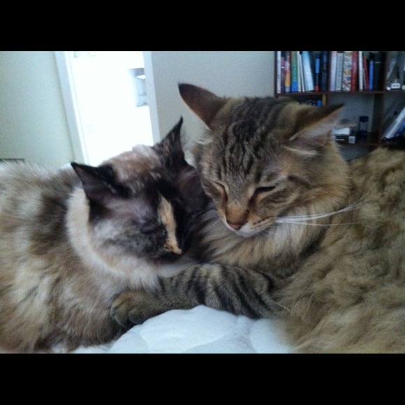 πMy priceless Gucci boy πΎ - Picture 2 of 4