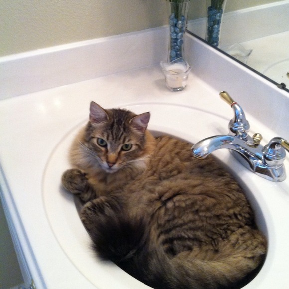 πMy priceless Gucci boy πΎ - Picture 3 of 4