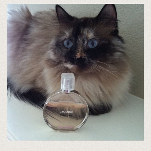 πMy priceless Gucci boy πΎ - Picture 4 of 4