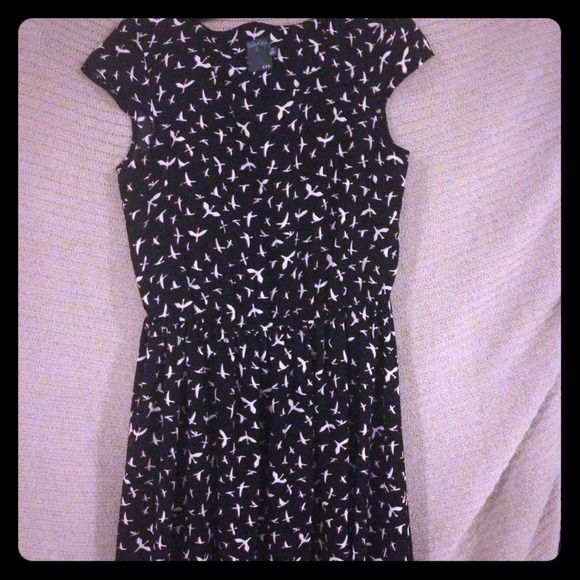 Gabby style dress. A line dress and bird print