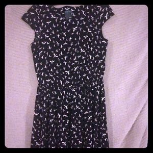 Gabby style dress. A line dress and bird print