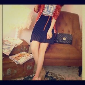 Pleated Chiffon Skirt