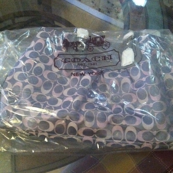 purse