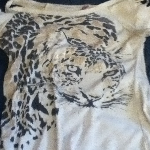 Cheetah - Picture 2 of 2