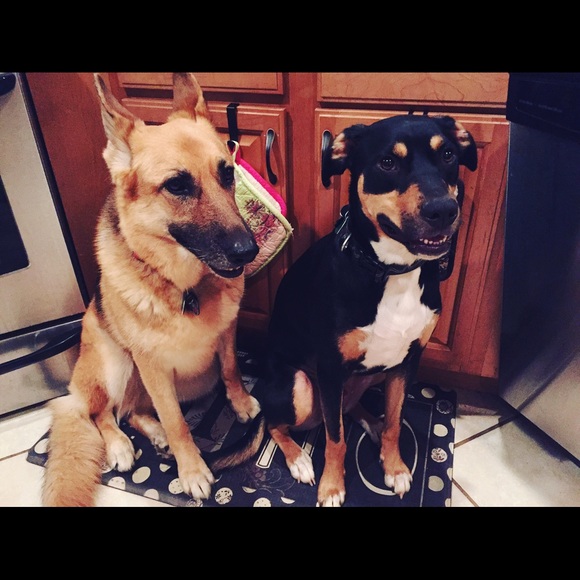 🎀Meet your seller/buyer🎀 - Picture 5 of 6