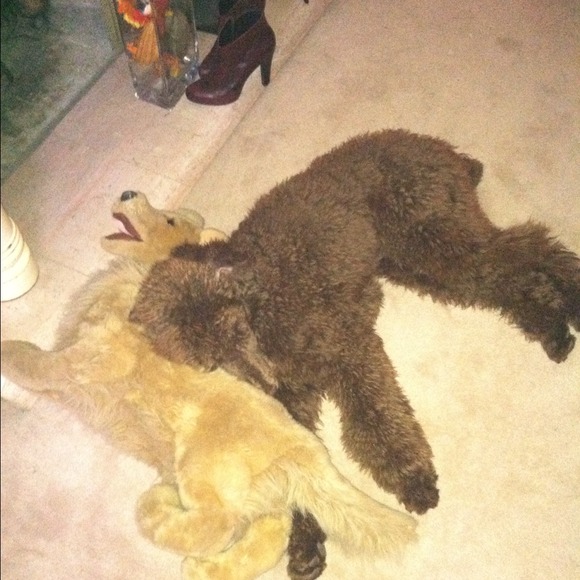 CoCo Ready for Surgery!! - Picture 2 of 2