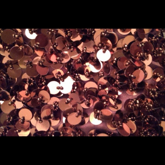 Brown Sequin and Beaded Purse - Picture 2 of 2