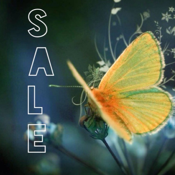 Check out my closet!