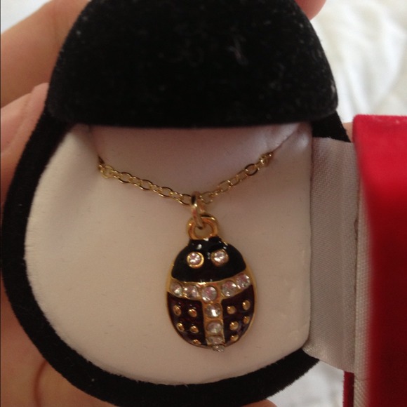 Ladybug necklace and cases TRADE