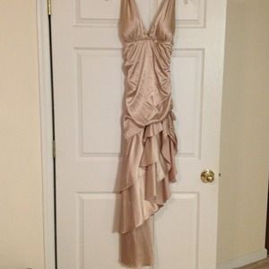 Woman's Formal Dress