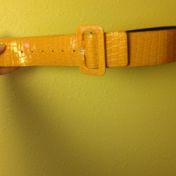 Mustard waste belt