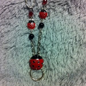 Eye glasses or badge holder