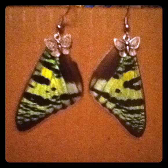 Handmade butterfly/moth earrings
