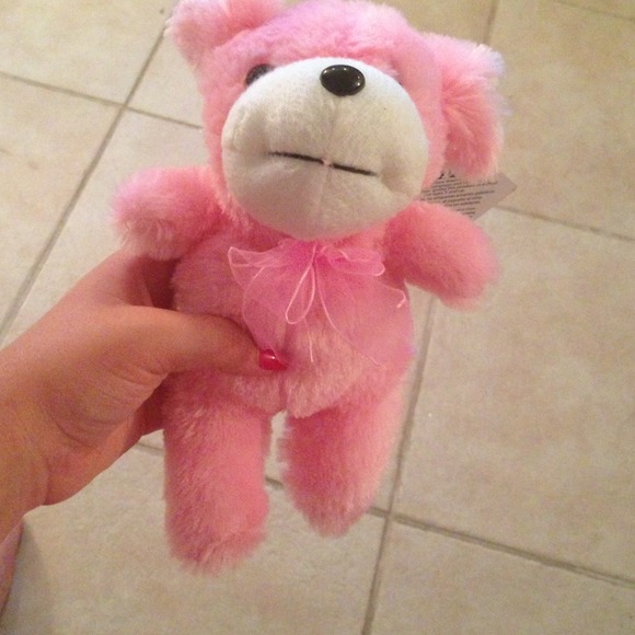 Brand New Stuffed Animal Bear