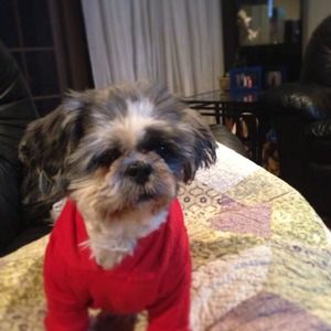 JUST SHARING THE LOVE OF MY LIFE COCO