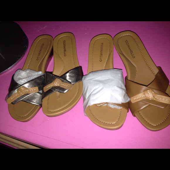 Reduced Brand new tigannallo shoes - Picture 2 of 3