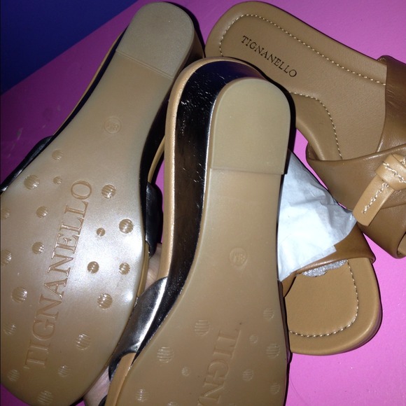 Reduced Brand new tigannallo shoes - Picture 3 of 3