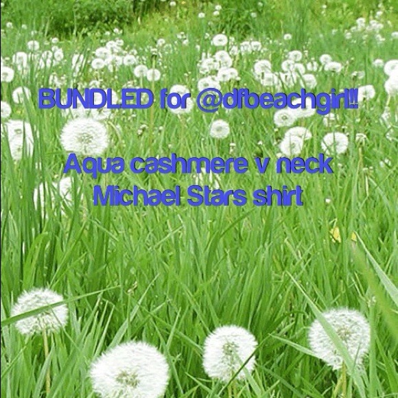 Bundled Aqua cashmere v neck and Michael Stars