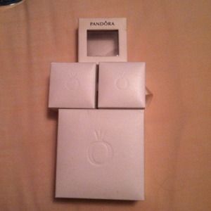 🚫Sold🚫 Pandora boxes
