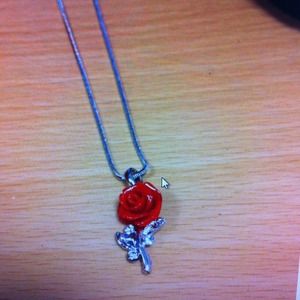 *Bundle for @mlopez712-Brand new lingerie&necklace