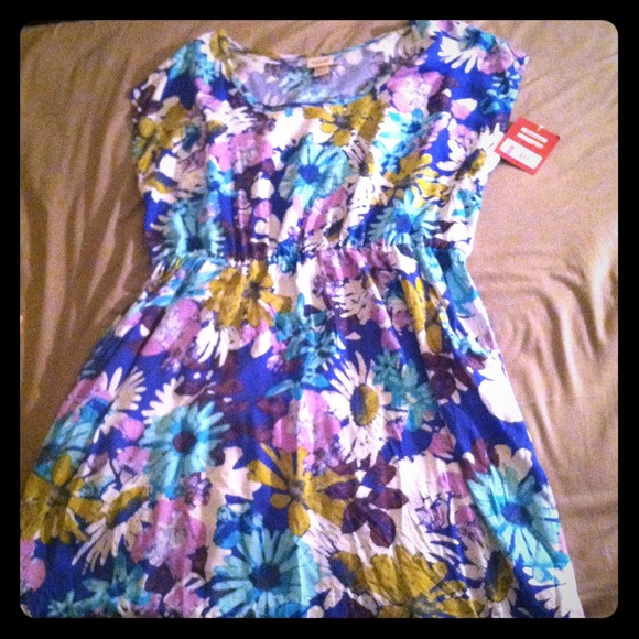 Blue flower skater dress