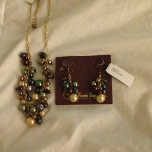 Premier Designs - Lelani necklace and earrings