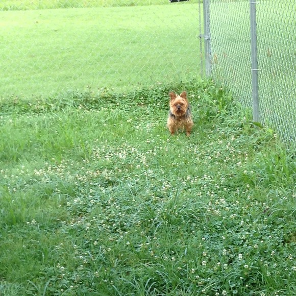 MY SECURITY MANAGER CRISSY