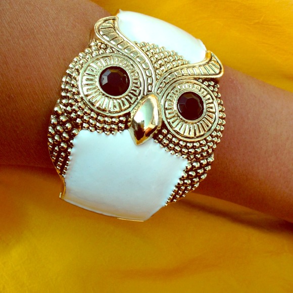 🌟HOST PICK🌟Big owl bangle