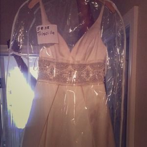 Priscilla of Boston wedding Gown