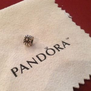 Pandora Charm