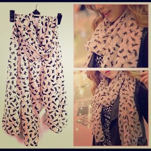 Precious Kitty Chiffon Scarf - pink OR black