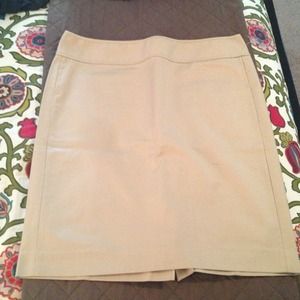 Pencil Skirt
